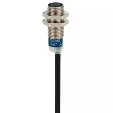 Osisense XS & XT inductive sensor XS6 M12 - L53mm - brass - Sn4mm - 24..240VAC/DC - cable 2m 
