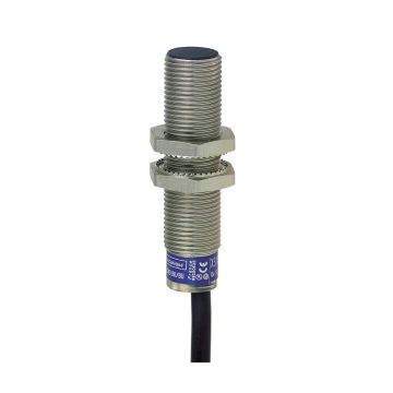 inductive sensor XS6 M12 - L53mm - brass - Sn4mm - 12..48VDC - cable 2m