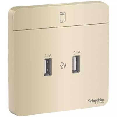 AvatarOn, USB charger, 2 type A, 2.1 A, Wine Gold