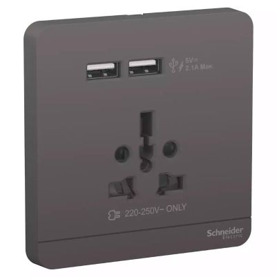 AvatarOn, USB charger + 2 socket-outlet, 2P, 16A, Dark Grey