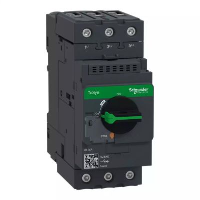 TeSys GV3 - Circuit breaker - magnetic - 65 A - EverLink BTR connectors 