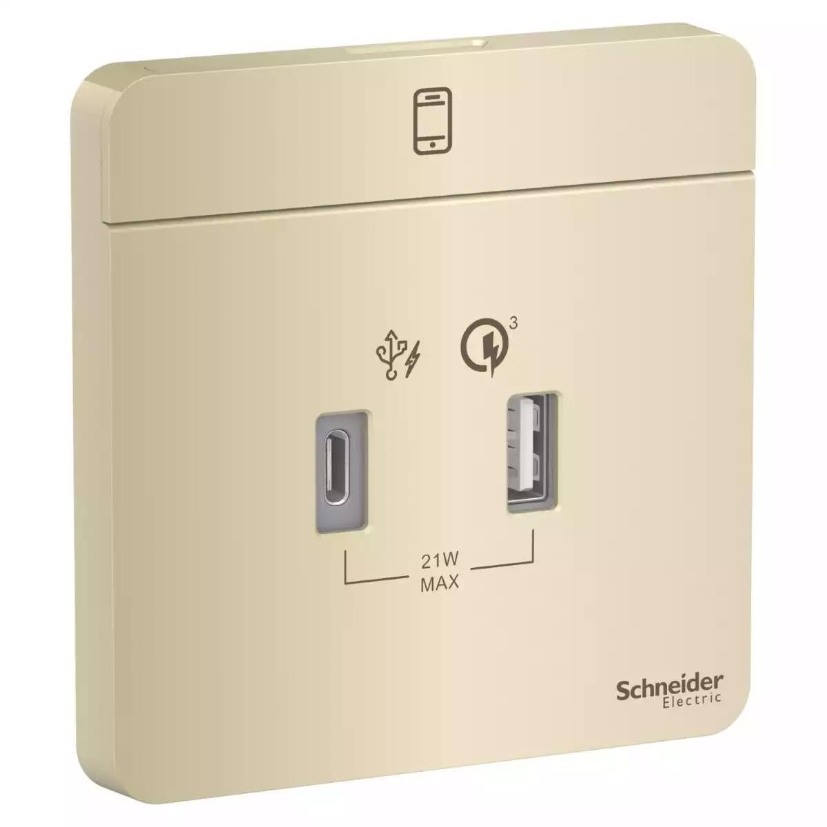 Schneider Electric AvatarOn, USB charger, type A + C, 2.1Ã¢â‚¬Â¦3 A, Wine Gold