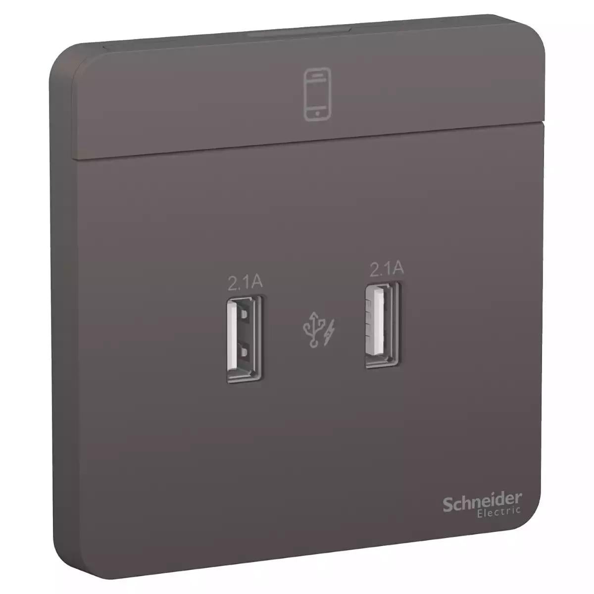 Schneider Electric AvatarOn, 2 USB charger, 2.1A, Dark Grey