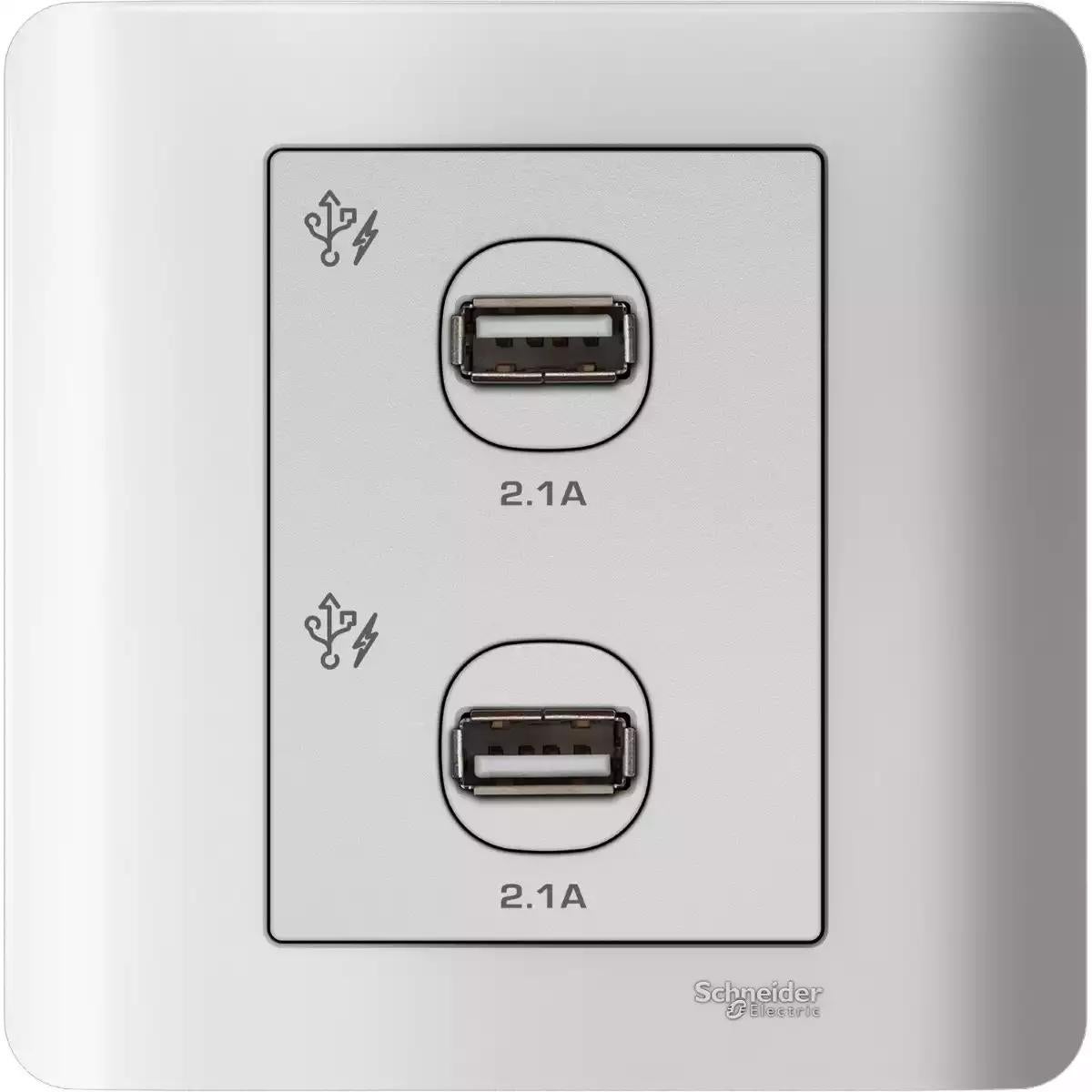 Schneider Electric Zencelo - 2 x 2.1A USB Charger - White