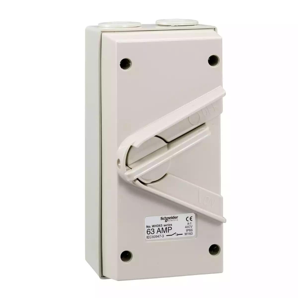 Schneider Electric Kavacha - 63A - 440V - Surface Mount Double Pole Isolating Switch - IP66