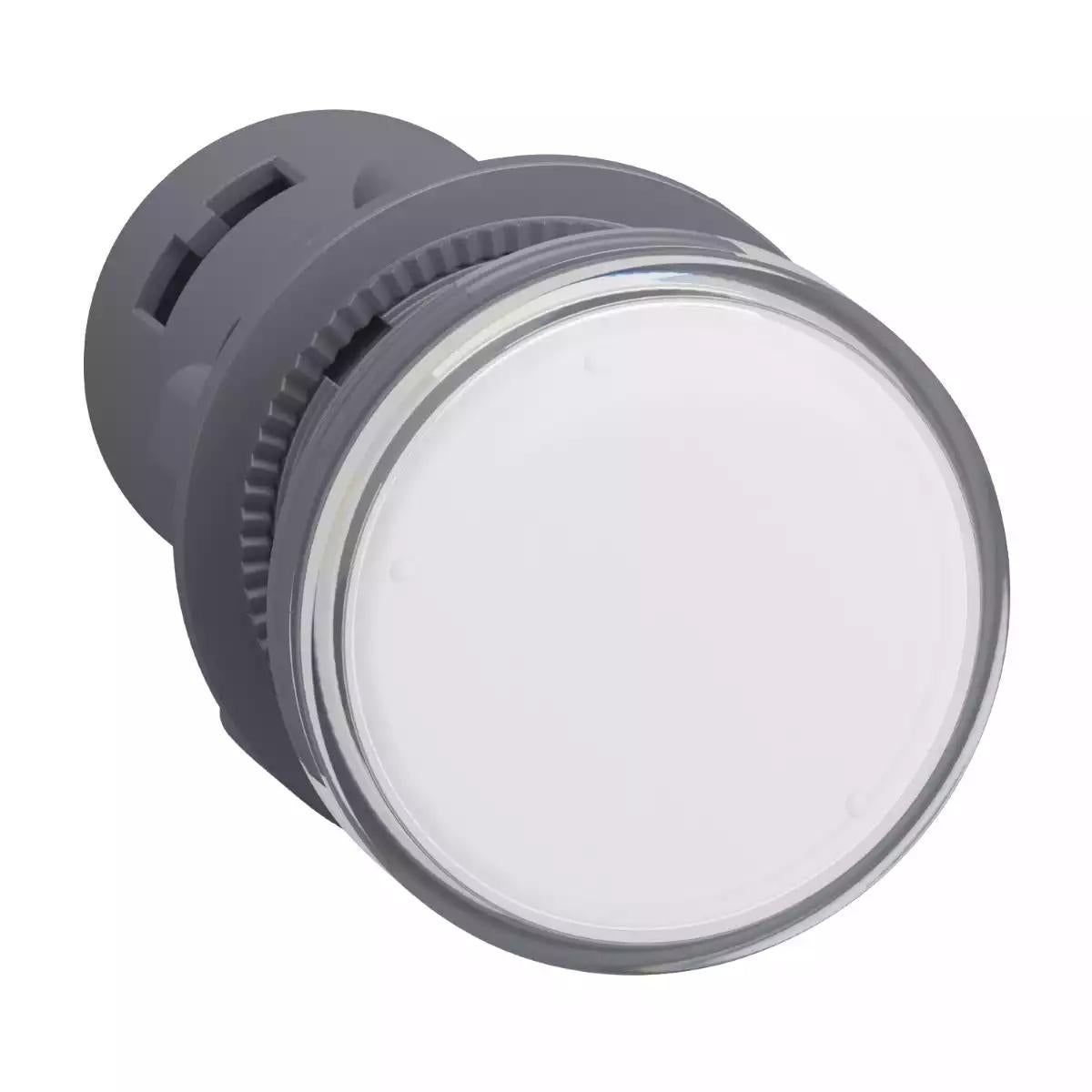 Schneider Electric Harmony Easy XA2E round pilot light Ã˜ 22 - white - integral LED - 220 V AC - screw clamp terminals