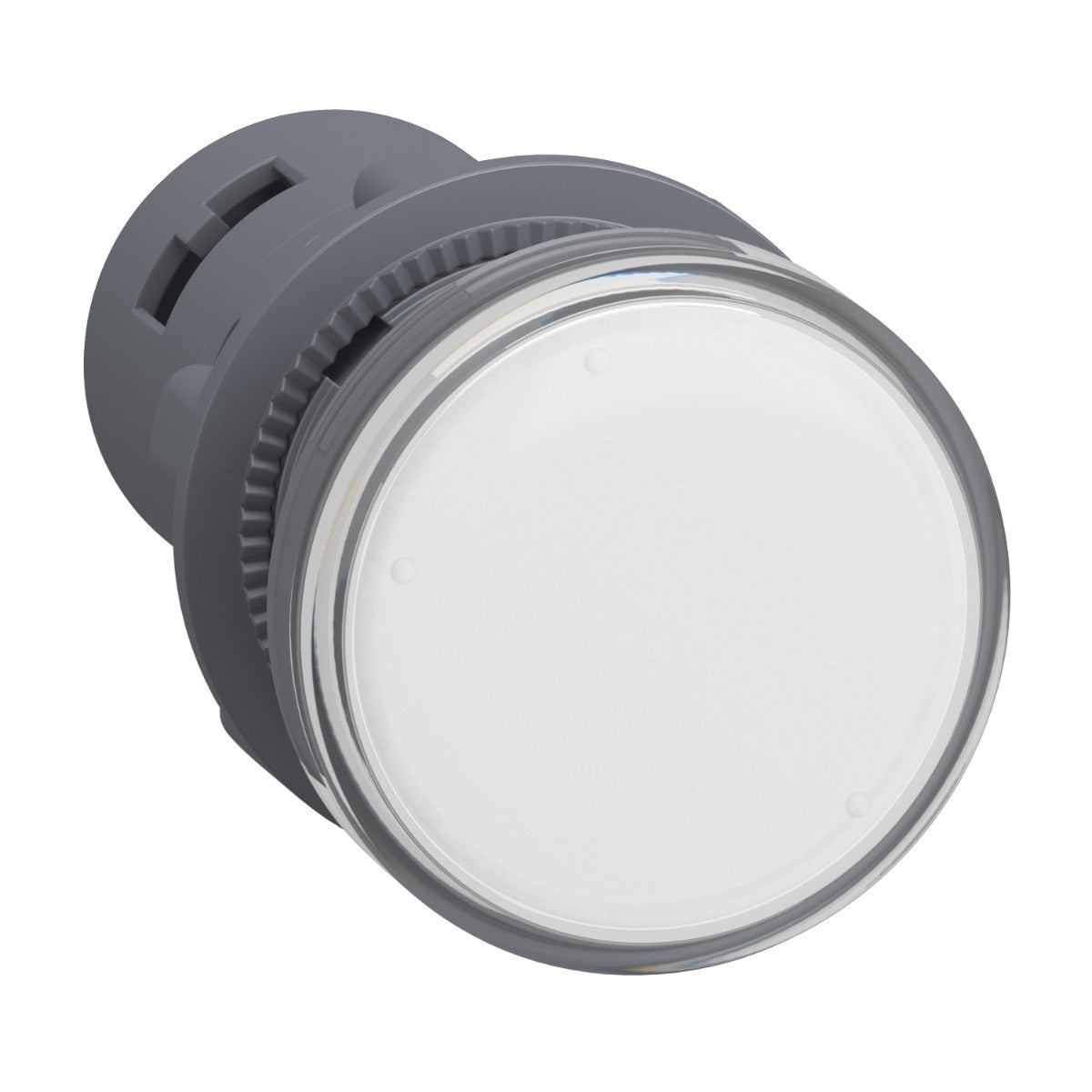 Schneider Electric Easy Harmony XA2E - Monolithic pilot light Ã˜ 22 - white - integral LED - 380 V AC - screw clamp terminals